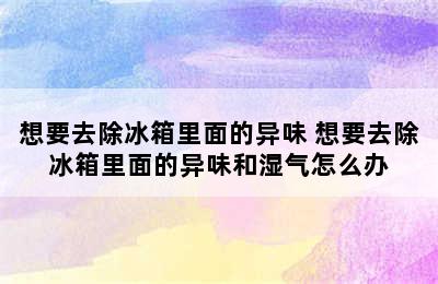 想要去除冰箱里面的异味 想要去除冰箱里面的异味和湿气怎么办